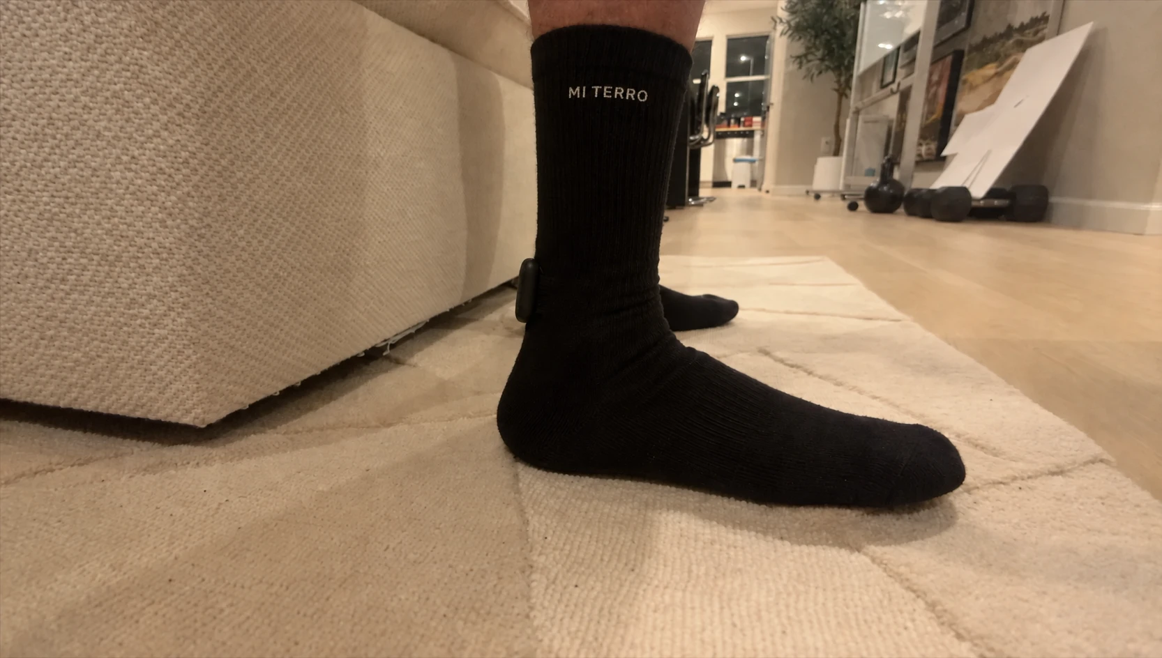 Mi Terro prototype sock worn indoors with its removable ankle module